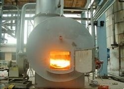 comprar Incinerador de resíduos médicos personalizado Incinerador de resíduos clínicos de aço inoxidável online manufacture