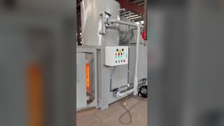 Incinerador seguro de resíduos animais 1200C
